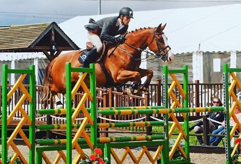 Showjumpers